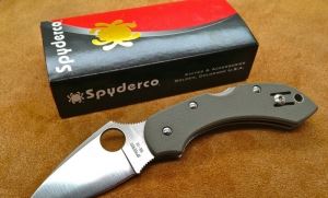 SPYDERCO美国蜘蛛C28GPFG 湖绿色蜻蜓小刀折刀